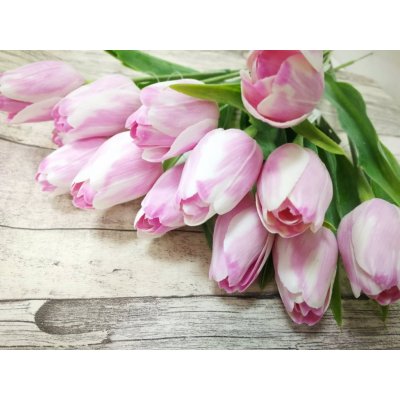 Tulipán umělý A125 - růžovobílý – Zboží Mobilmania