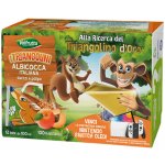 Valfrutta meruňkový nápoj Triangolini Albicocca Brick 12 x 100 ml – Zboží Dáma