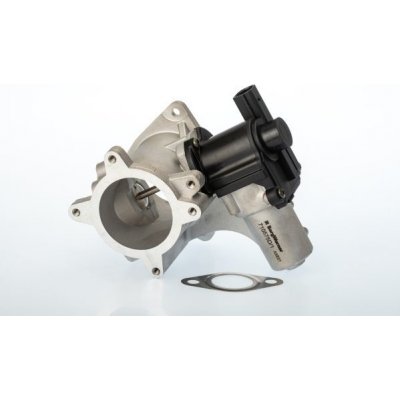 AGR-Ventil BorgWarner (Wahler) 710575D – Sleviste.cz