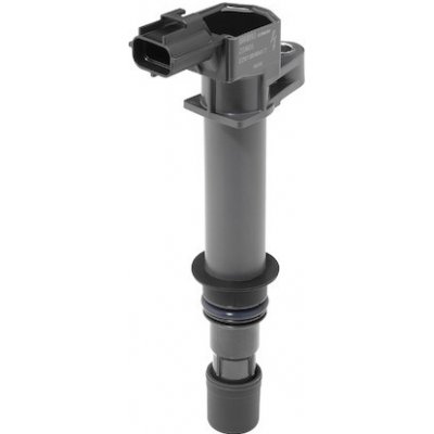 Zapalovací cívka BorgWarner (BERU) ZS605 – Hledejceny.cz
