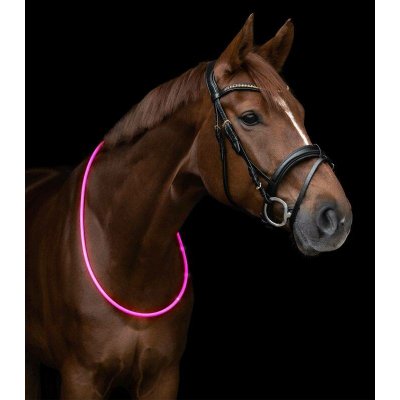Waldhausen Led pásek na krk růžová – Hledejceny.cz