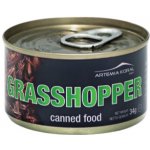 Artemia Koral Konzervovaná sarančata malá 34 g – Zboží Mobilmania