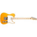 Fender Player Telecaster – Hledejceny.cz