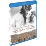 zrodila se hvězda BD – Hledejceny.cz