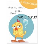 Albi Hrací přání k narozeninám - Prostě super – Hledejceny.cz