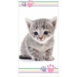 JERRY FABRICS Osuška Kitten colour 70 x 140 cm – Zboží Mobilmania