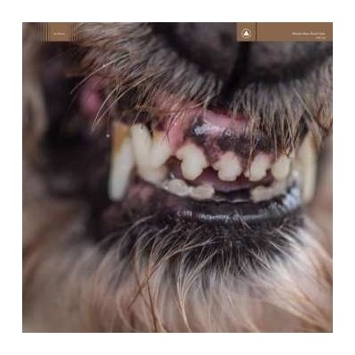 Blanck Mass - World Eater LTD LP – Zbozi.Blesk.cz