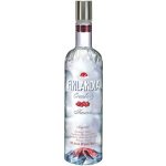 Finlandia Cranberry 37,5% 1 l (holá láhev) – Zboží Mobilmania