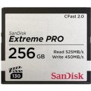 SanDisk 256 GB SDCFSP-256G-G46D
