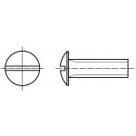PROFISTYL BECHER šroub plochá hlava pozink Varianta: Šroub s drážkou a velkou půlkulatou hlavou BECHER ZnB M8x50 – Sleviste.cz