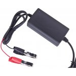 Wilstar 12-24V 2A | Zboží Auto