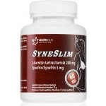 Syneslim 60 tablet – Hledejceny.cz