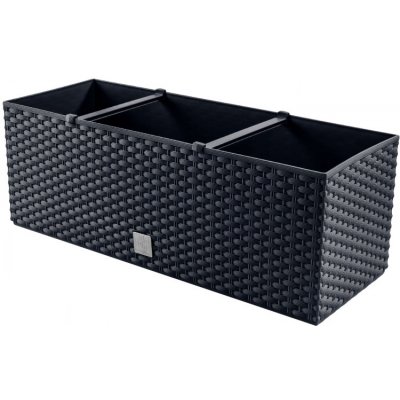 Prosperplast Rato case Samozavlažovací truhlík 60 x 25 x 24 cm antracit – Zbozi.Blesk.cz