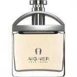 Aigner Pour Homme toaletní voda pánská 100 ml – Hledejceny.cz