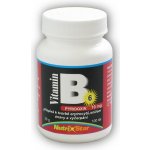 Nutrihouse Vitamín B6 Pyridoxin 100 tablet – Hledejceny.cz