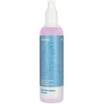 Satisfyer Women Disinfectant Spray 300 ml – Zboží Dáma