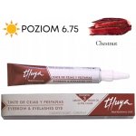 Thuya barva na řasy kaštanová 14 ml – Zboží Mobilmania