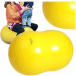 Gymnic Physio roll – Zboží Mobilmania