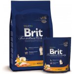 Brit cat adult Premium kuře 1,5 kg – Sleviste.cz