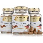 GN Exclusive Cordyceps sinensis CS-4 50% polysacharidů 2+1 300 kapslí – Hledejceny.cz