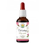 Salvia Paradise Cist šedavý růže skalní AF tinktura 50 ml – Hledejceny.cz
