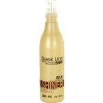 Stapiz Sleek Line Silk Shiner 300 ml – Sleviste.cz