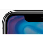 Apple iPhone X 256GB Space Gray – Hledejceny.cz
