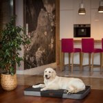 DOGGY Matrace pro psa Premium Cordura – Hledejceny.cz