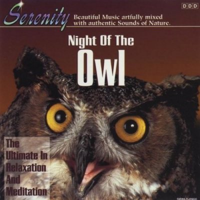 RELAXAČNÍ HUDBA - Night of the Owl CD – Zboží Mobilmania