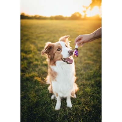 Ecopets Olej Zuby 30 ml – Zboží Dáma