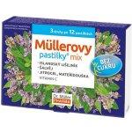 DR. MÜLLER Müllerovy pastilky mix bez cukru 3 druhy po 12 kusech – Hledejceny.cz