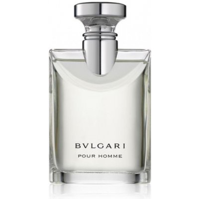 Bvlgari toaletní voda pánská 100 ml – Hledejceny.cz