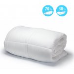 přikrývka Péřová prošívaná přikrývka Comfort 1600 g 200x200 – Sleviste.cz