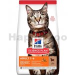 Hill's Feline Adult Lamb & Rice 1,5 kg – Zboží Mobilmania