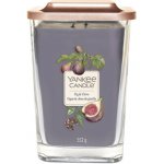 Yankee Candle Elevation Fig & Clove 347 g – Zbozi.Blesk.cz