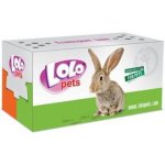 LoloPets kartonová krabička na transport malá 14 x 9 x 8 cm – Zboží Dáma