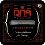 DNA Genetics Cannalope Haze semena neobsahují THC 3 ks – Zboží Dáma