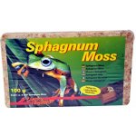 Lucky Reptile Sphagnum Moos rašeliník 100 g – Zboží Mobilmania