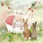 Přání k narození dítěte - Bundle of joy – Zbozi.Blesk.cz