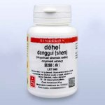 Sinecura Děhel danggui shen prášek 20 g – Hledejceny.cz