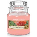 Yankee Candle Sun-Drenched Apricot Rose 104 g – Zbozi.Blesk.cz