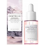 SKIN1004 Madagascar Centella Poremizing Fresh Ampoule 30 ml – Zboží Dáma