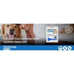 Frontline Spot-On Dog S 2-10 kg 1 x 0,67 ml – Hledejceny.cz