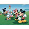 Tapety AG design FTDSs-1956 papírová fototapeta Mickey Mouse rozměry 156 x 112 cm