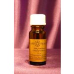Arammagnus Olej voodoo Orisha Oshun 10 ml – Hledejceny.cz