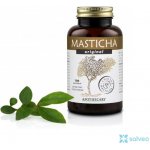Masticha Terapia Original 100 tablet – Hledejceny.cz