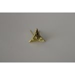 AČR hvězda třícípá malá zlatá – Sleviste.cz