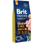 Brit Premium by Nature Junior M 15 kg – Zbozi.Blesk.cz