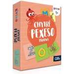 Albi Chytré pexeso Písmena 2. vydání – Hledejceny.cz
