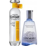 GinRaw Gastronomic Gin 42,3% 0,7 l (holá láhev) – Zboží Mobilmania